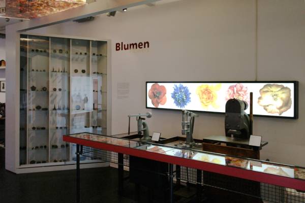 Das Thema Stoffblumen in der Textilabteilung