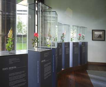Modeblumen